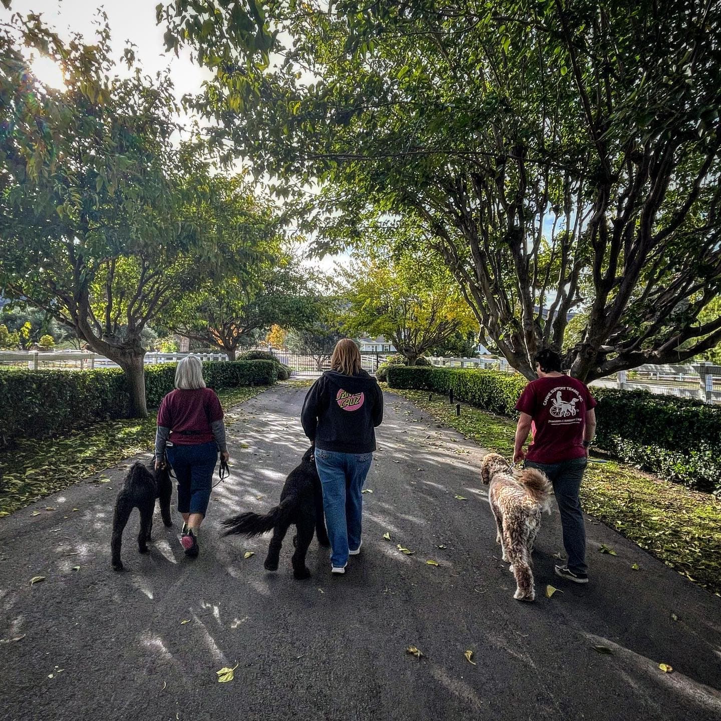 Community walkers and dogs at a CST event